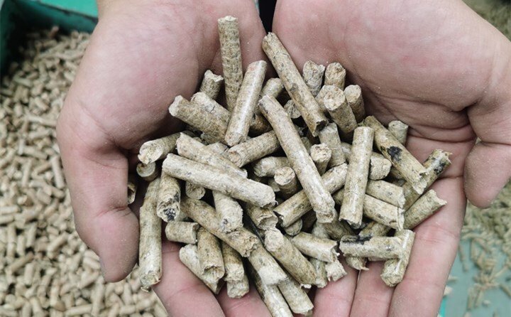 顆粒機加工設(shè)備壓出的燃料顆?？捎米髋Ｑ蝻暳匣蛉剂?/></p><p>眾所周知，秸稈一直是牛羊的飼料，但現(xiàn)在很少使用了。秸稈顆粒機是將稻殼秸稈、麩皮稈、玉米秸稈等原料混合，然后壓制而成。顆粒狀物料可供鍋爐燃燒使用。</p><p>秸稈顆粒機壓出的顆?？勺鳛槿剂?。這種方法在國內(nèi)外很多人都在使用，已經(jīng)很普遍了，該顆?？捎糜谌紵?、烹飪和工業(yè)鍋爐。重要的是，這種顆粒燃料是一種清潔能源。不污染環(huán)境!</p><p>試想，如果每個人都用這些秸稈顆粒燃料代替煤炭來做飯取暖，藍天還遠嗎?</p><p><a data-mid=
